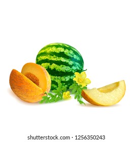 Fresh, nutritious watermelon and tasty melon. Symbols of berries. Elements for label design. Vector illustration. Berries ingredients in triangulation technique. Melon and watermelon low poly.