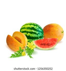 Fresh, nutritious watermelon and tasty melon. Symbols of berries. Elements for label design. Vector illustration. Berries ingredients in triangulation technique. Melon and watermelon low poly.