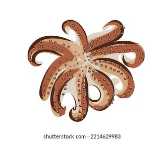 Fresh Octopus. Flat Vector Illustration