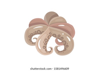 Fresh octopus or squids raw Vector Illustration isolated on white Background