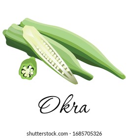 Fresh okra icon vector illustration. Ripe ladyfinger, whole, half and sliced. Isolated on white background