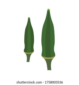 Fresh okra icon vector illustration. Okra vector graphics flat icon