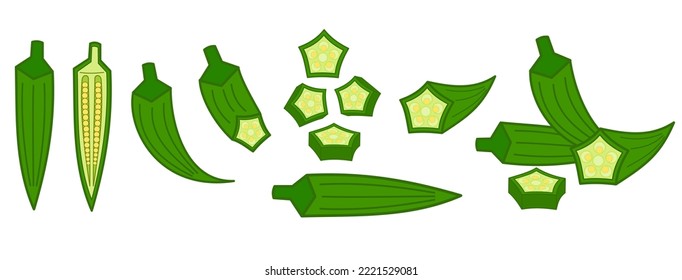 Fresh okra or ladyfinger.Whole, slices and half cutted.Green fruit or vegetable.Ingredient and food.Sign, symbol, icon or logo isolated.Flat design.Cartoon vector illustration.Graphic.Clipart.