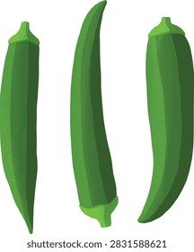 Fresh Okra Vegetable Isolated Vector Illustration	
