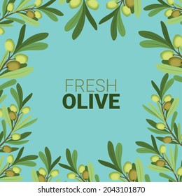 fresh olive frame and branches