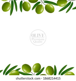 The fresh Olive oil elegant vector illustration.