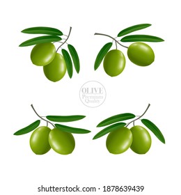 La elegante ilustración vectorial del aceite de oliva fresco.