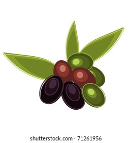 Fresh olives isolated - vector illustration