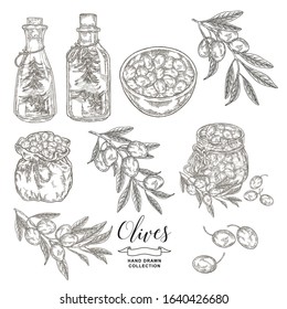 Fresh olives set. Olive oil, branches and fruits in wooden bowl and glass jar. Vector illustration. Hand drawn engraving style.