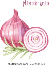 Bolbo de cebola fresco com metade cortada, e alecrim erva, ilustração vetor aquarela adequado para blogs culinários, marca ecofriendly, e receitas.