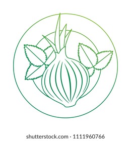 fresh onion in dish vegetarian food