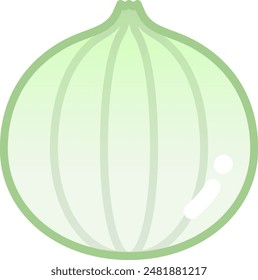 Fresh onion Isolated Vector illustration