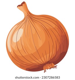 Fresh onion ripe and organic vegetable isolated
