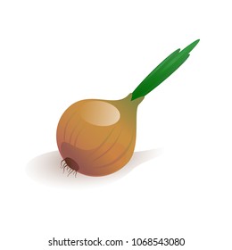 Fresh onion vector illustration