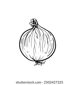 fresh onion - vector illustration