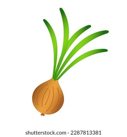 Cebolla fresca .Icono de alimento de imagen vectorial sobre fondo blanco aislado. Cosecha de verduras. Jardín. Granja y agricultura. Alimentos saludables. Vegetariano