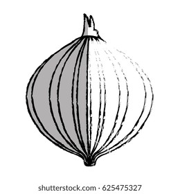 fresh onion vegetable icon