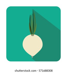 Fresh onion vegetable icon vector illustration graphic design