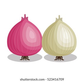 fresh onion vegetable isolated icon