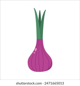 Fresh Onion Vegetable Vector Illustration Isolated On White Background