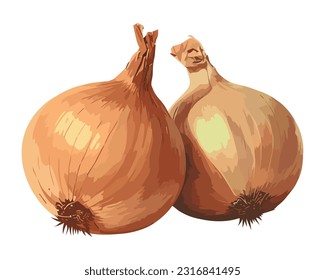 Fresh onion vegetables, ripe and ready for cooking icon isolated