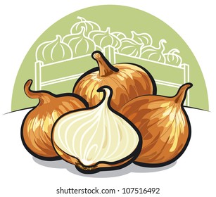 fresh onions