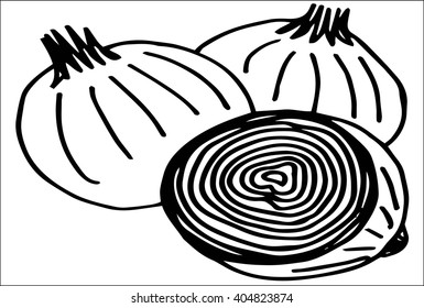 Fresh onions doodle & sliced vector illustration. hand drawing