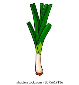 Fresh onions. Green leek. Ingredient for dishes. Cartoon style. Vector illustration for design and decoration.