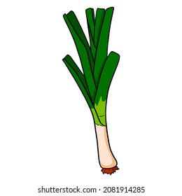 Fresh onions. Green leek. Ingredient for dishes. Cartoon style. Vector illustration for design and decoration.