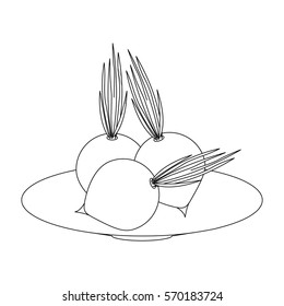 Fresh onions vegetables