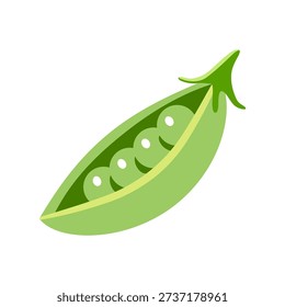 Fresh open green pea pod with four peas inside.