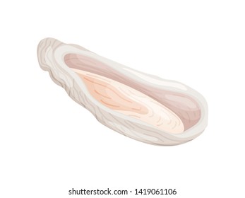 Fresh open sink with oyster. Vector illustration on white background.
