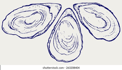 Fresh opened oyster. Doodle style