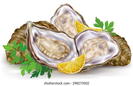 Fresh opened oyster and lemon on white background