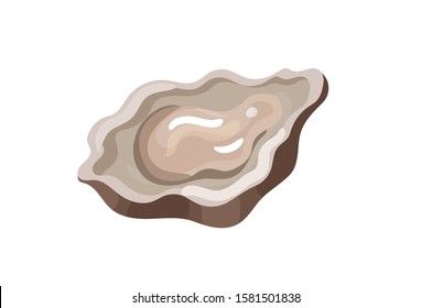 Fresh opened oyster vector illustration on white background