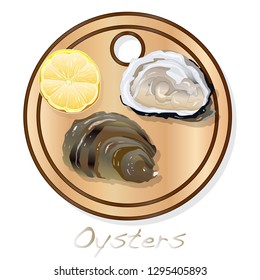 Fresh opened oyster vector images set on plate / dish isolated on white background.