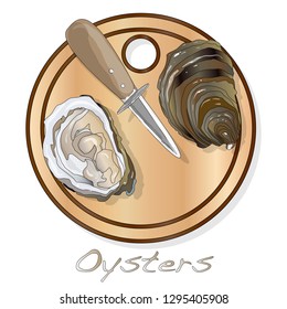 Fresh opened oyster vector images set on plate / dish isolated on white background.