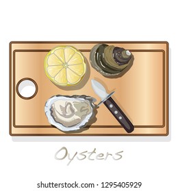 Fresh opened oyster vector images set on plate / dish isolated on white background.