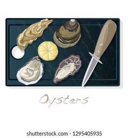 Fresh opened oyster vector images set on plate / dish isolated on white background.