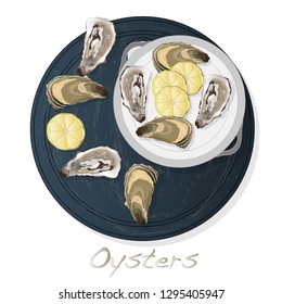 Fresh opened oyster vector images set on plate / dish isolated on white background.