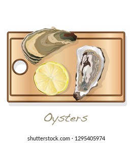 Fresh opened oyster vector images set on plate / dish isolated on white background.
