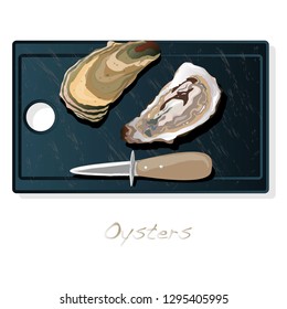 Fresh opened oyster vector images set on plate / dish isolated on white background.