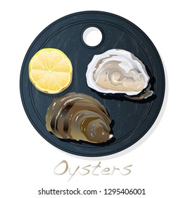 Fresh opened oyster vector images set on plate / dish isolated on white background.