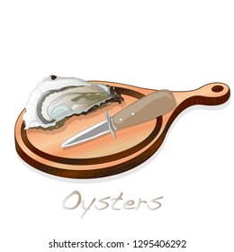 Fresh opened oyster vector images set on plate / dish isolated on white background.