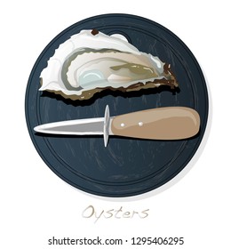 Fresh opened oyster vector images set on plate / dish isolated on white background.