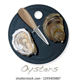 Fresh opened oyster vectorv images set on plate / dish isolated on white background.