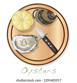 Fresh opened oyster vectorv images set on plate / dish isolated on white background.