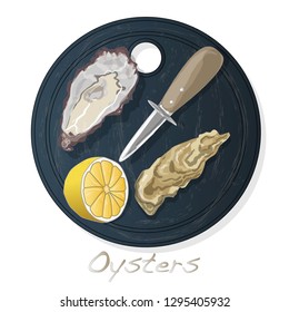 Fresh opened oyster vectorv images set on plate / dish isolated on white background.