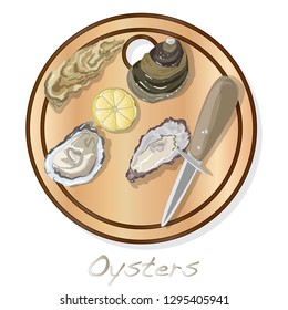 Fresh opened oyster vectorv images set on plate / dish isolated on white background.
