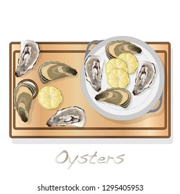 Fresh opened oyster vectorv images set on plate / dish isolated on white background.